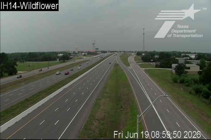 Live snapshot from IH14@wildflower-Belton